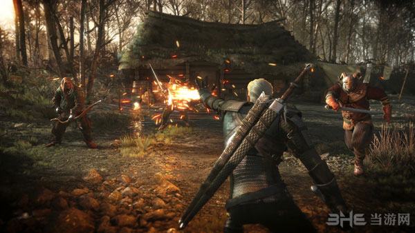 巫师3N卡优化图片5