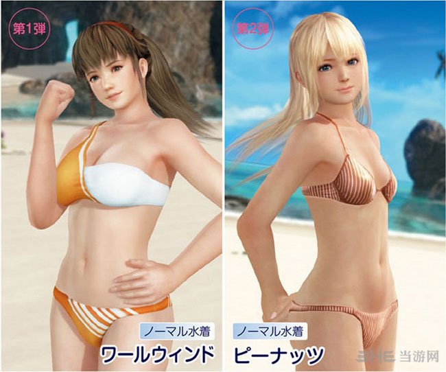 死或生沙滩排球3截图4