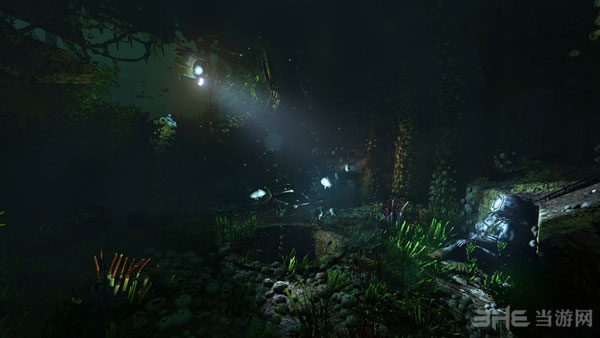 活体脑细胞SOMA截图2