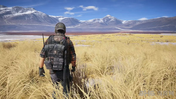 幽灵行动荒野截图4