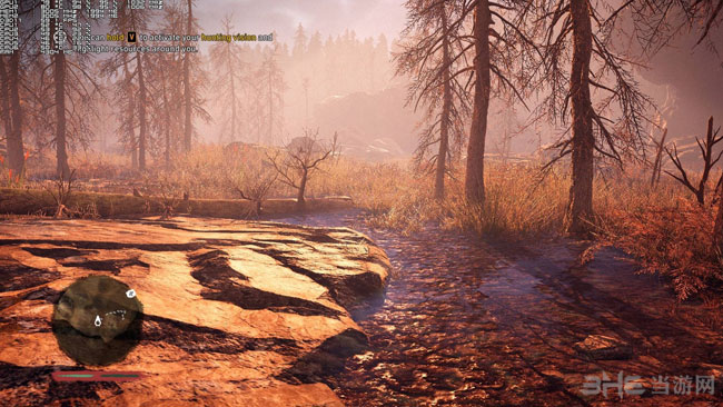 孤岛惊魂原始杀戮PC版高低画质对比3