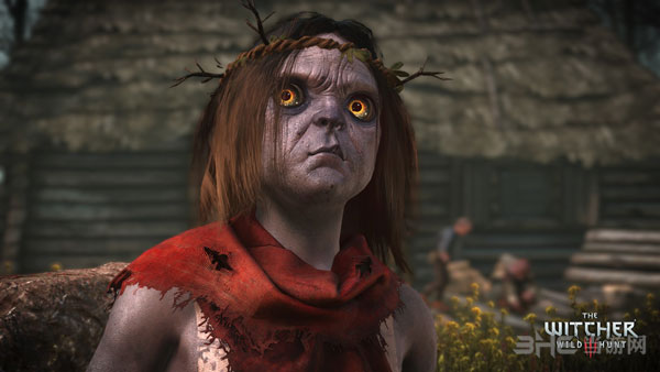 巫师3狂猎截图3