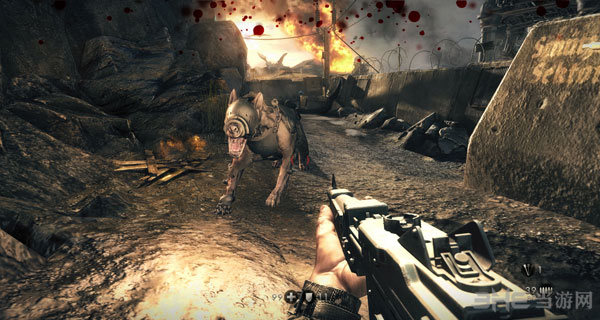 德军总部新秩序截图