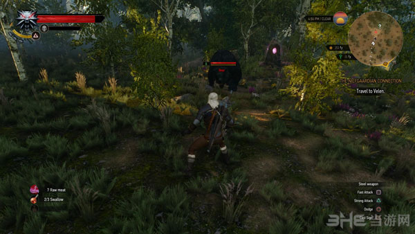 巫师3狂猎截图4