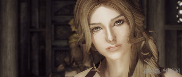 上古卷轴5天际mod截图3