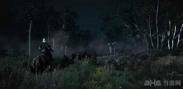 巫师3狂猎高分辨率截图3