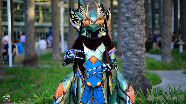 2014暴雪嘉年华cos图片2