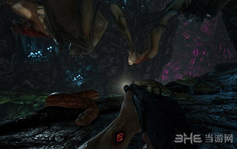 方舟生存进化老鹰有什么作用