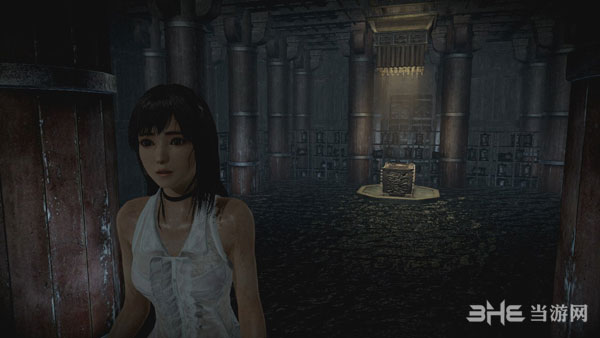 零黑水女巫游戏截图4