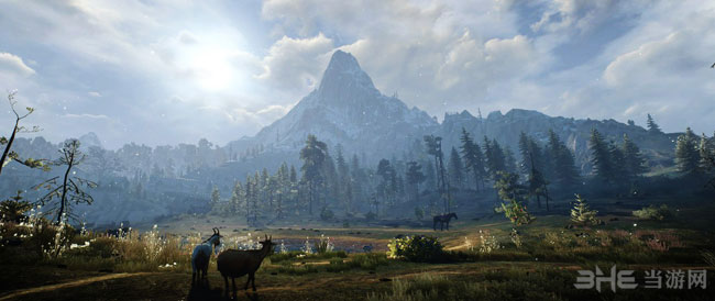 巫师3图2
