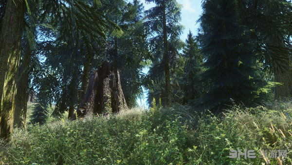 上古卷轴5游戏mod截图1