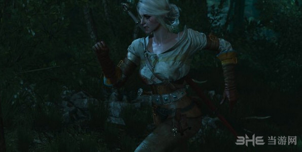 巫师3第二主角图片2