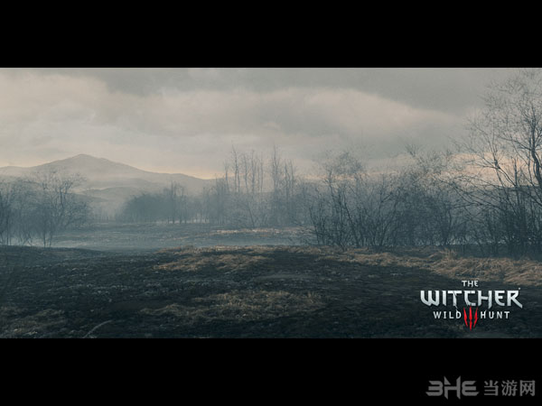巫师3狂猎截图2