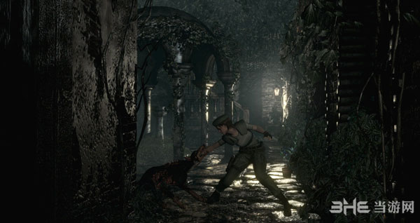 生化危机HD重制版PC版首批截图2