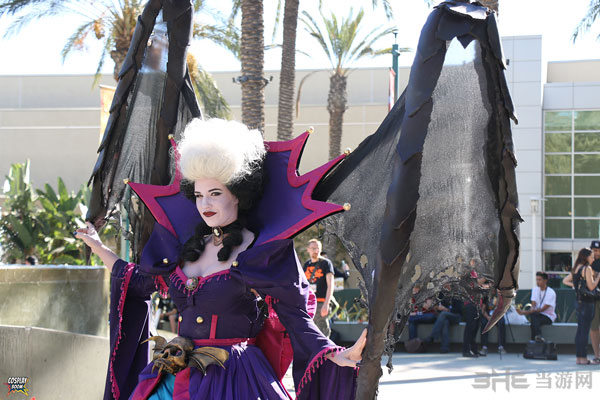 2014暴雪嘉年华cos图片4