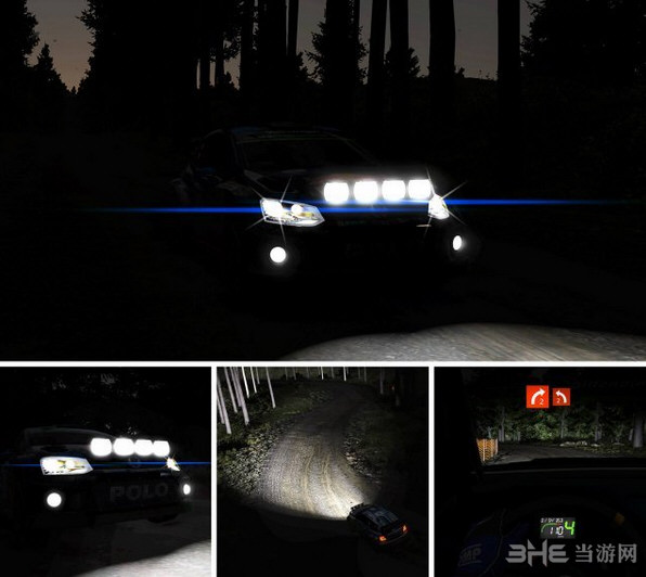 世界拉力锦标赛5截图