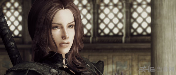 上古卷轴5天际mod截图2