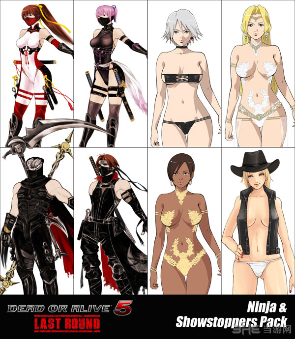 死或生5最后一战DLC截图2