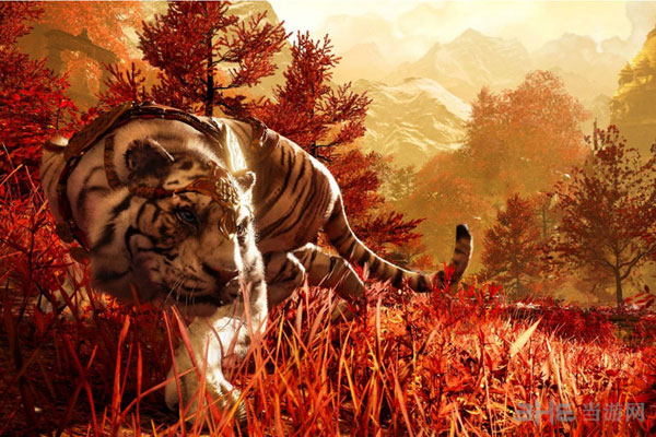 孤岛惊魂4截图1