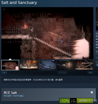 盐和避难所PC版steam截图
