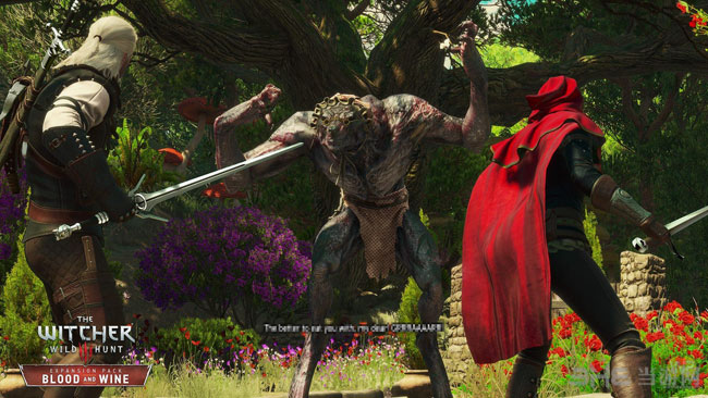 巫师3DLC血与酒截图4