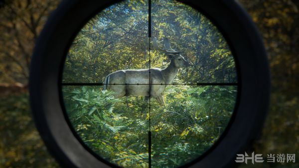 猎人荒野的呼唤截图3