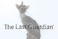 《最后的守护者》封面图以及游戏截图放出 坐等上市