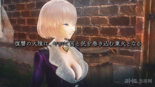 战场女武神苍蓝革命截图3