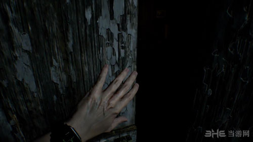 生化危机7截图4