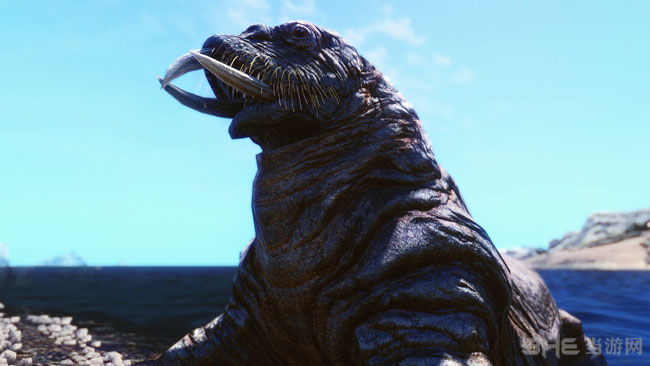 上古卷轴5MOD画质截图4