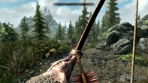 上古卷轴5天际特别版图片2