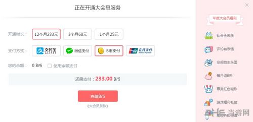 B站大会员制度图片3