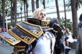 暴雪嘉年华2016最佳Cosplay合集 COSer的狂欢