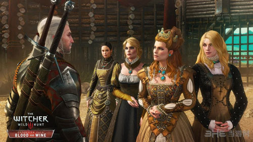 巫师3截图3