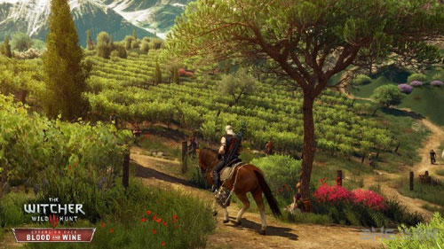 巫师3DLC血与酒截图2