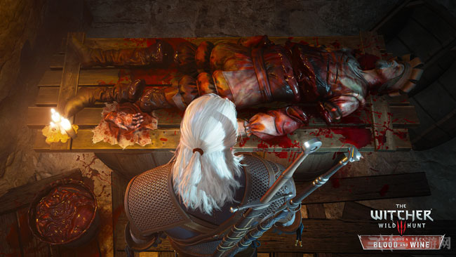 巫师3血与酒截图3