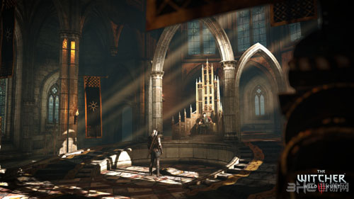 巫师3狂猎截图3