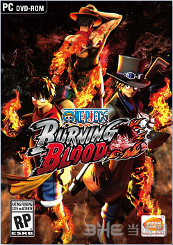 海贼王燃烧热血封面