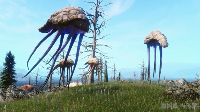 上古卷轴5MOD画质截图1