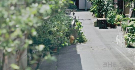 《精灵宝可梦GO》虫洞有什么用 1