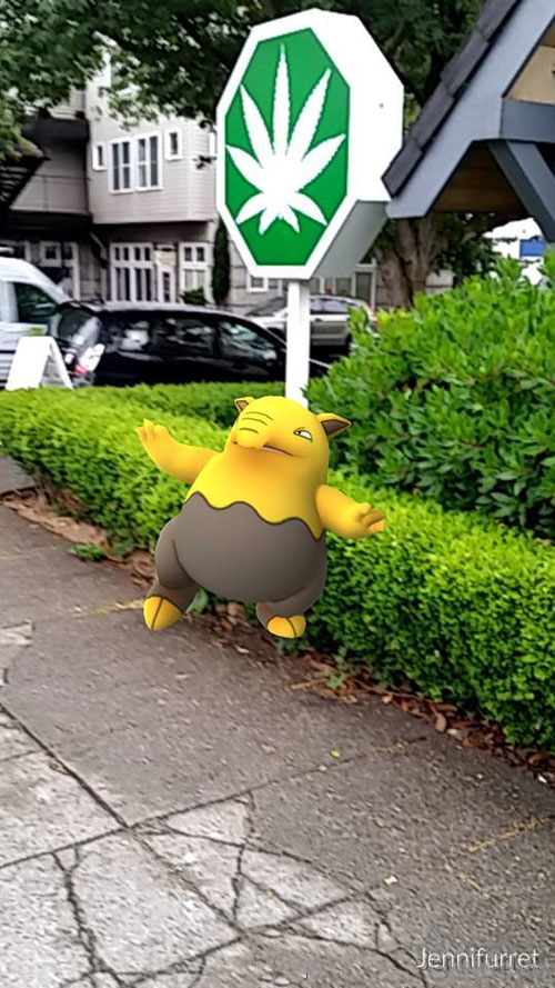 精灵宝可梦GO截图2