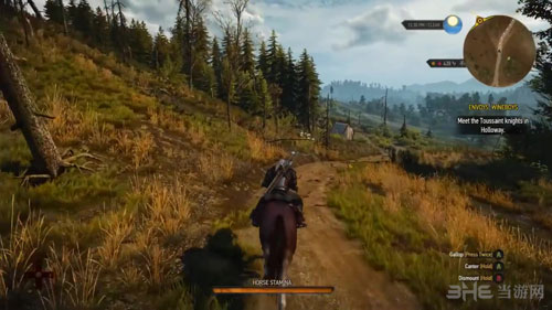 巫师3截图1