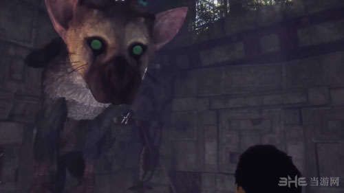 最后的守护者截图3