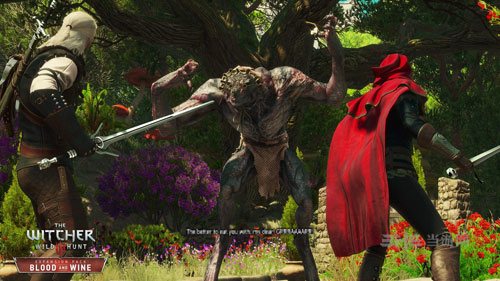 巫师3截图8