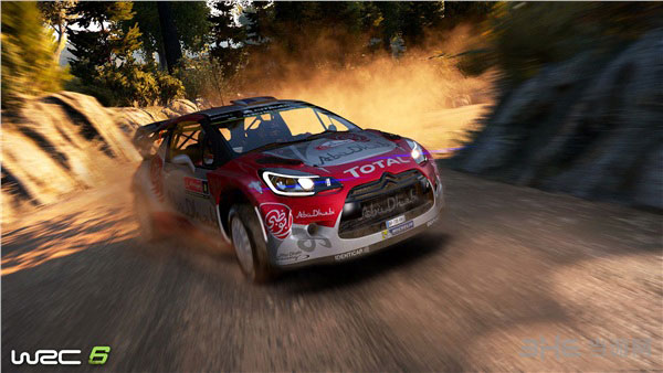 世界拉力锦标赛6截图1