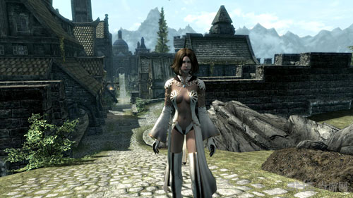 上古卷轴5重制版3