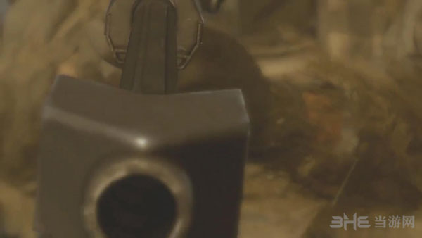 使命召唤4重制版2