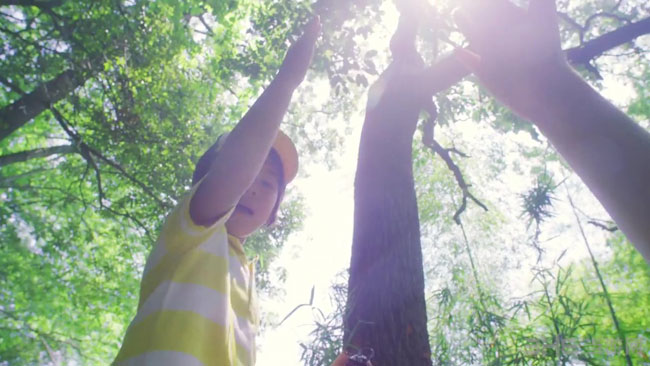 精灵宝可梦太阳月亮截图3