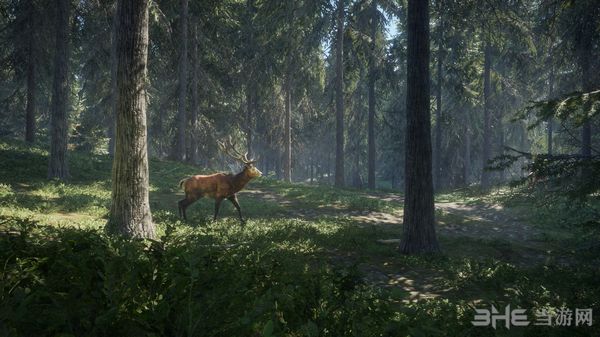 猎人荒野的呼唤截图2