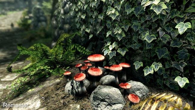 上古卷轴5天际终极重制版截图3